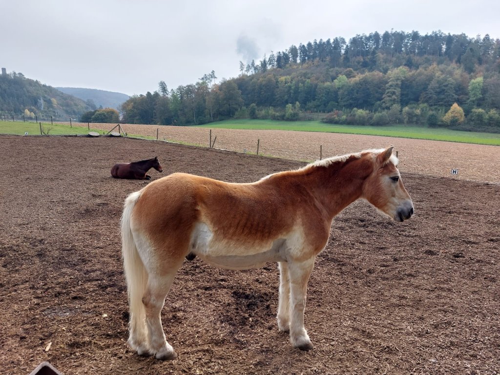 nemecko2023-urspringschule-05